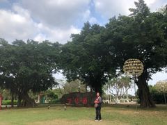 -万绿园
