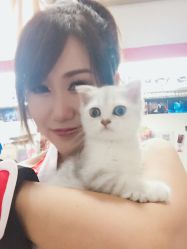 点击看大图 -星元素cosplay动漫摄影写真工作室