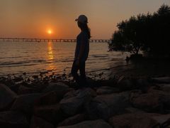 -宝安西湾红树林湿地公园