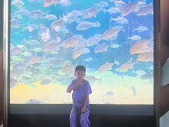 -烟台海昌鲸鲨海洋公园