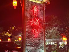 -青城甲(青城山店)