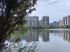 -洋湖国家湿地公园