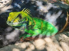 -黑龙潭风景区