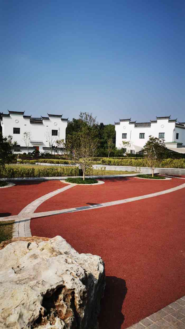 中新泾公园-"去年夏天,网上看到网红中新泾公园,我和朋.
