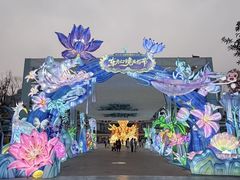 -海合安成都极地海洋公园