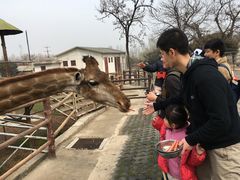 -西安秦岭野生动物园