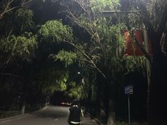 -丁香湖公园