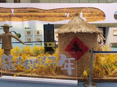 -湖南省地质博物馆