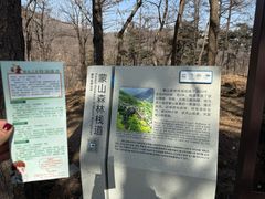 -沂蒙山旅游区云蒙景区(蒙山国家森林公园)