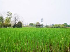 -梁鸿国家湿地公园