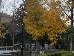 -碧云国际社区·晓园