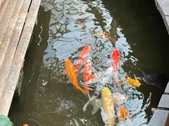 -上海大自然野生昆虫馆(东方明珠·爬宠昆虫探索中心)