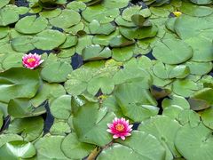 -昆山城市生态森林公园