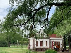 -上海共青森林公园