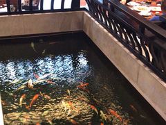-龙悦湾酒家·八阵鱼生·渔人码头店