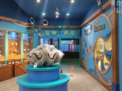 -多彩贵州城极地海洋世界