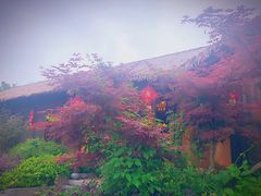 景点-杏花村文化旅游区