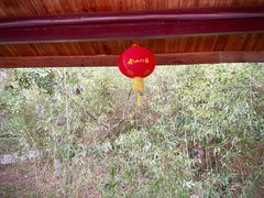 -天目湖山水园