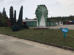 -上海都市菜园