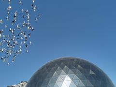 -陕西自然博物馆