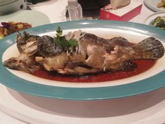 清蒸老虎斑-百富源·海鲜辽菜(和平北大街店)