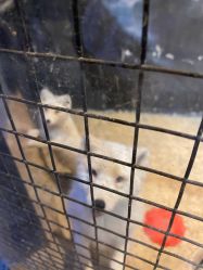 -酷嗒动物文化乐园(cutezoo西溪乐天城店)