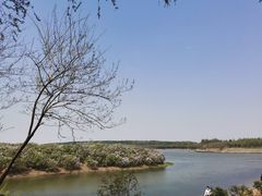 -丁香湖公园