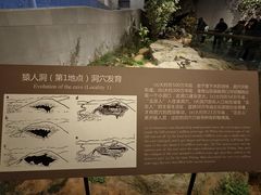 -北京周口店北京人遗址博物馆