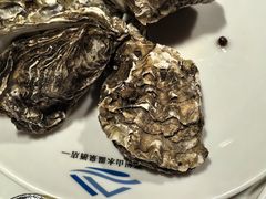 -山水温泉