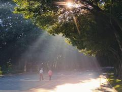 -深圳国际园林花卉博览园