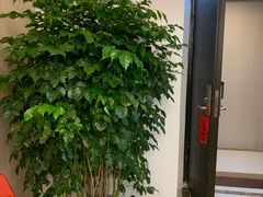 -感智盲人按摩·艾灸·肩颈SPA(岗厦店)