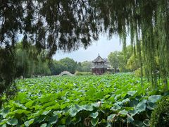 -莲池书院博物馆