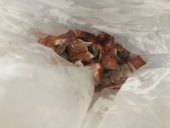 -上海枇杷烤鸭(燕丰商场店)