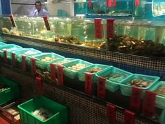水产区-海大大蒸汽海鲜餐厅·粤菜·特色小炒(欢乐颂店)