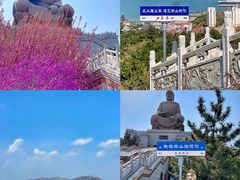 -石岛赤山风景区