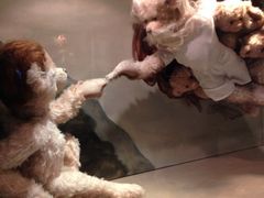 iphone_upload_pic-济州岛泰迪熊博物馆