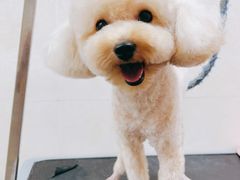 -美联众合动物医院(唯恩分院)