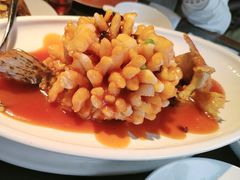 -小厨娘金榜题名(夫子庙秦淮河店)