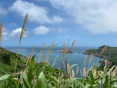 -枸杞岛