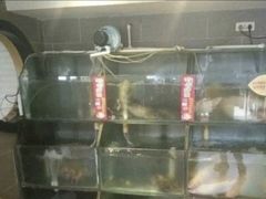 -石鼎鱼(武陟总店)
