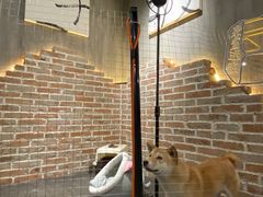 -呼吸沉浸式剧场(甘露园店)