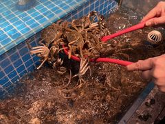 -焰江山海鲜牛排烤肉自助(锦华万达二星店)