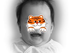 -大北照相(宋家庄店)