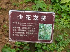 -百魔洞景区