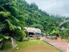 -水濂山森林公园