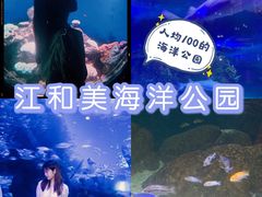 -江和美海洋公园