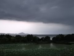 -上海市保健医疗中心