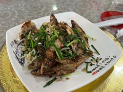 -谭家菜农夫山庄