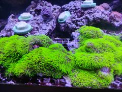 -长沙海底世界