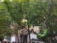 -深圳国际园林花卉博览园